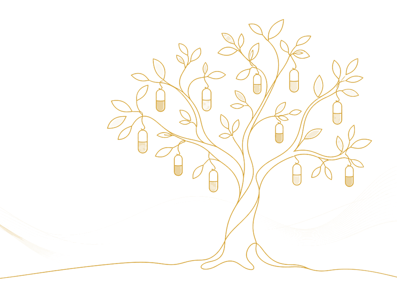 Botanical illustration
